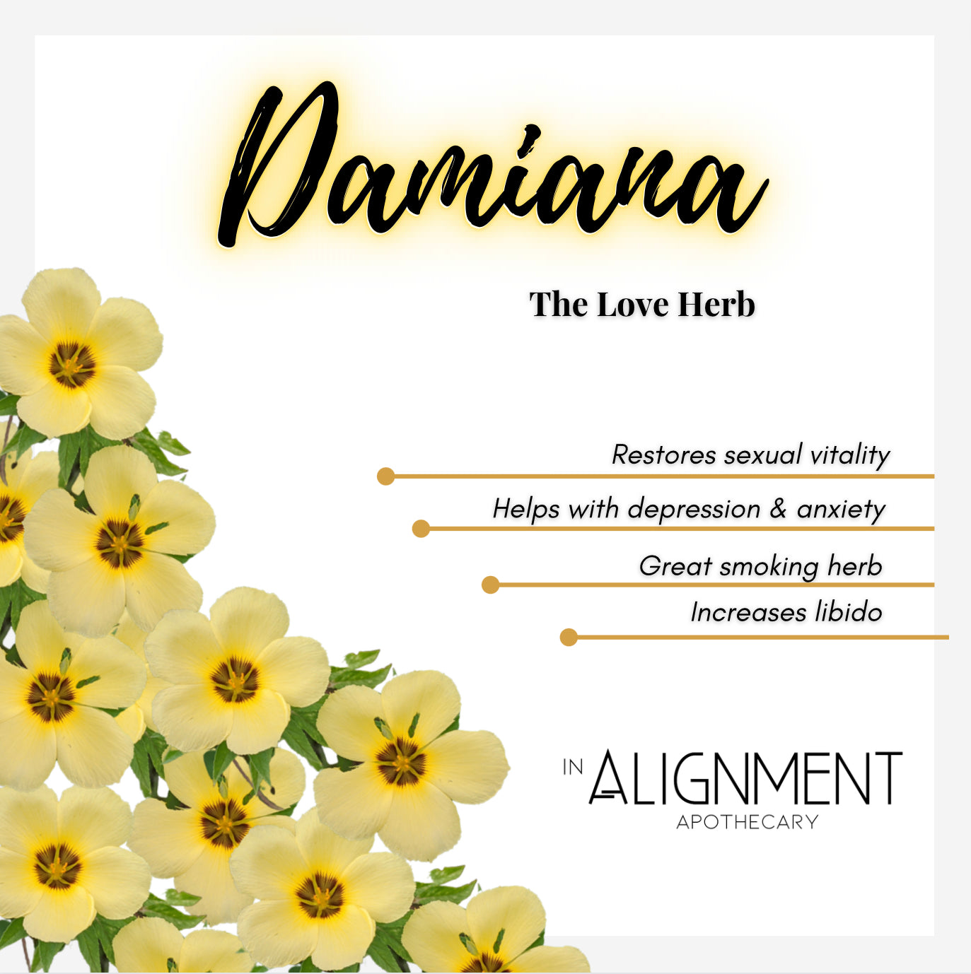Damiana Bulk Herb